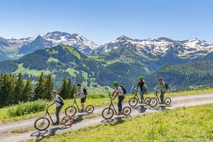 Lenk Bergbahnen Trotti Abfahrt
