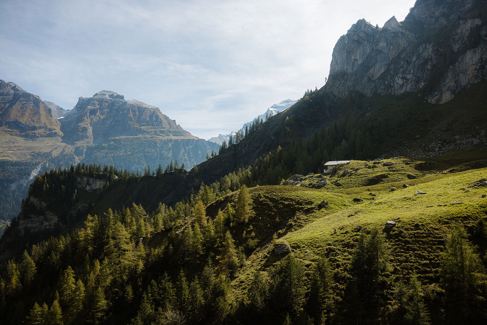 Aussicht ins Tal, Allmenalp Kandersteg