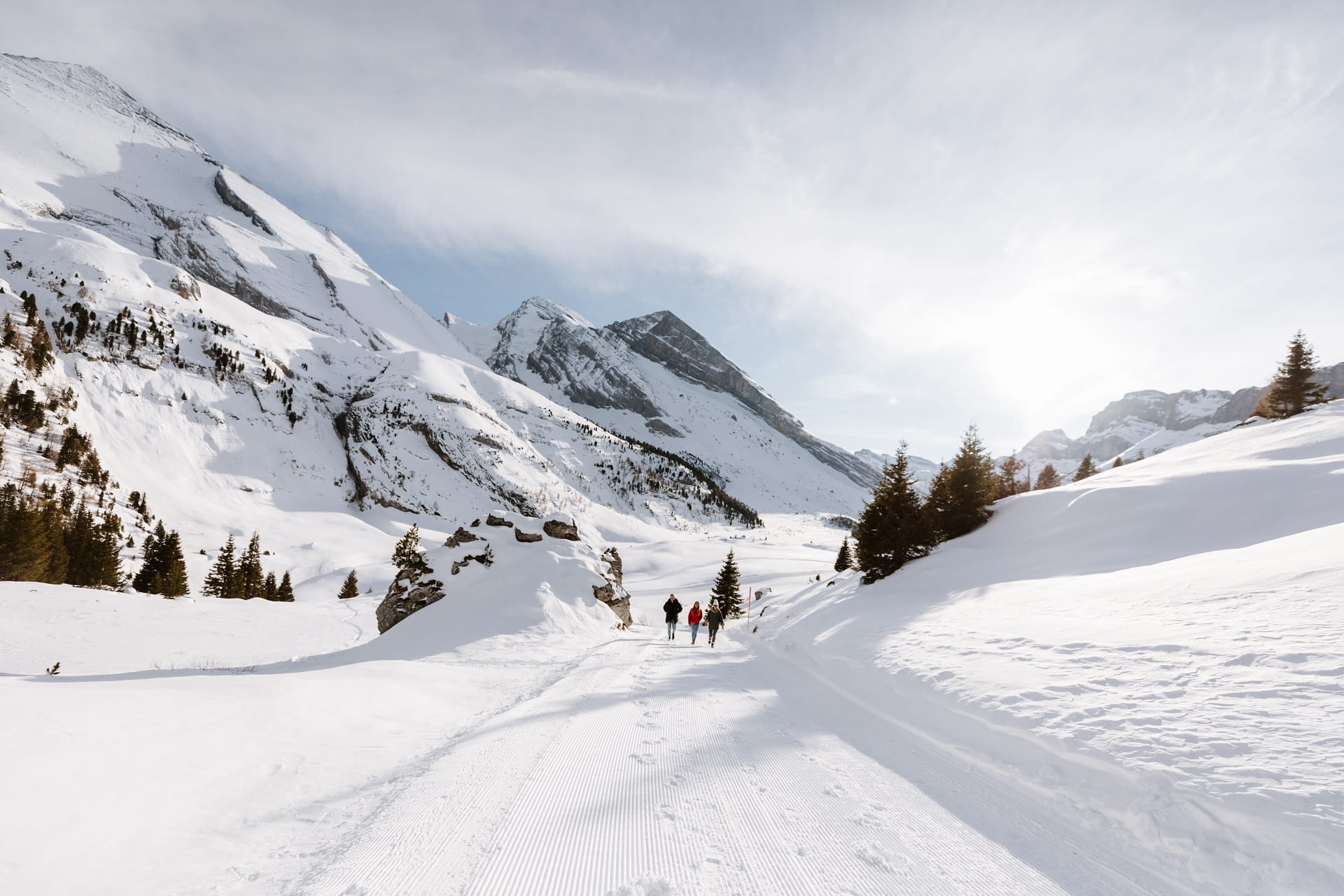 Winterwandern auf Sunnbüel