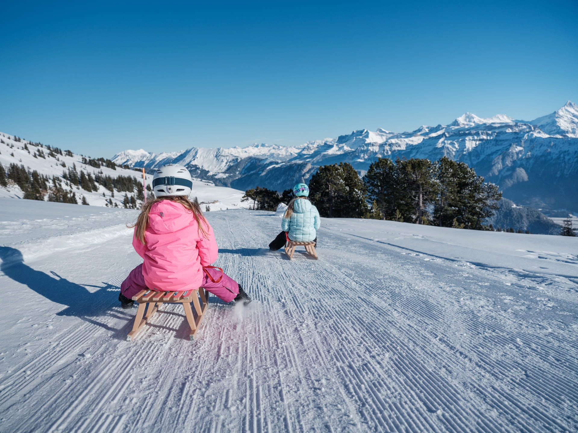 Schlittelspass am Niederhorn