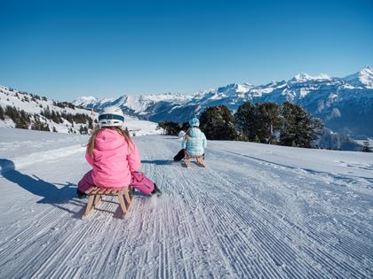 Schlittelspass am Niederhorn