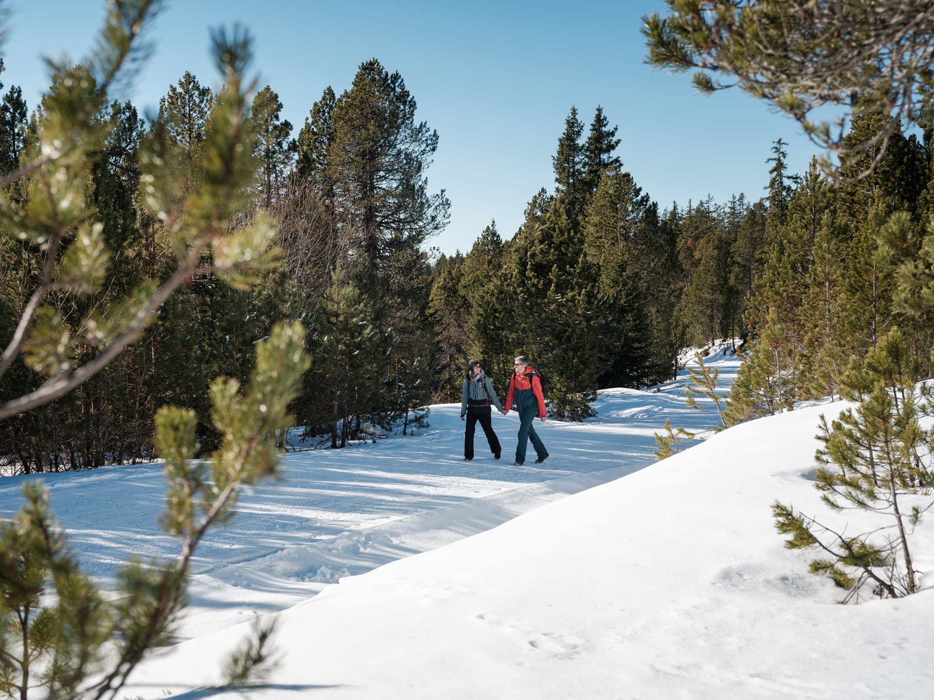 Winterwandern am Niederhorn