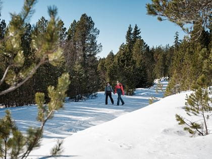 Winterwandern am Niederhorn
