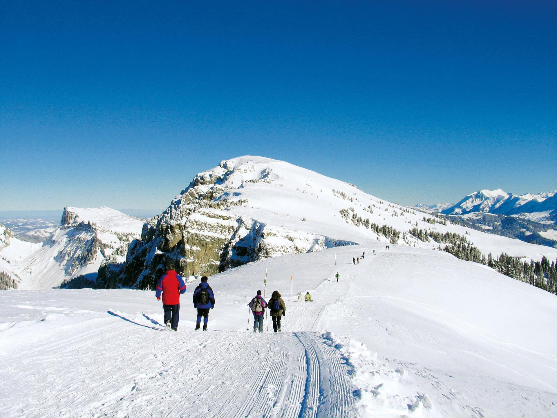 Winterwandern am Niederhorn: Eine Gruppe wandernt dem Grat des Niederhorns entlang.