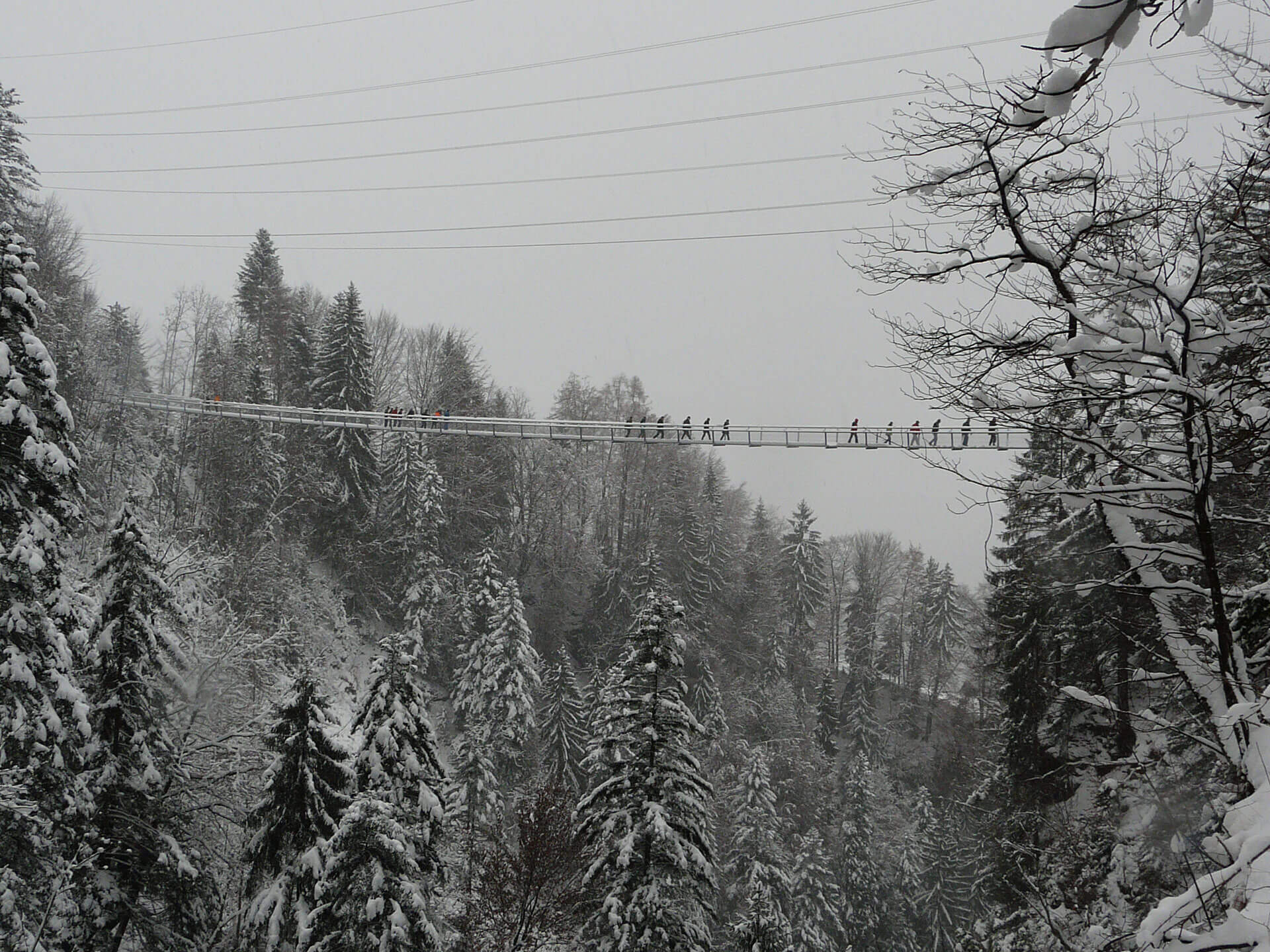 Leissigen Haengebruecke