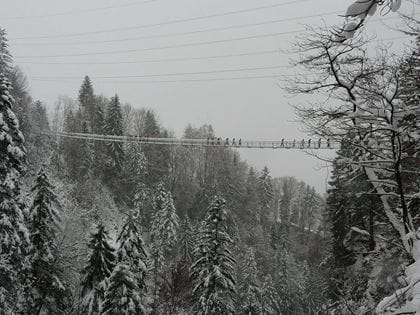 Leissigen Haengebruecke