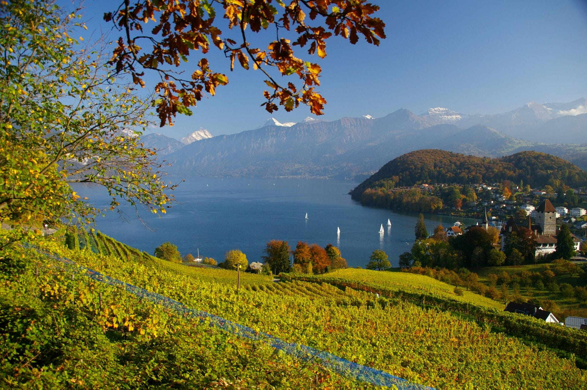 Spiez im Herbst