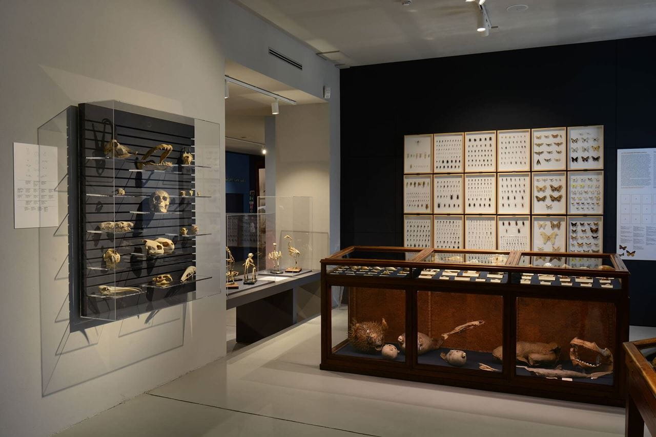 Domodossola im Norden Italiens Ausflüge mit dem Zug