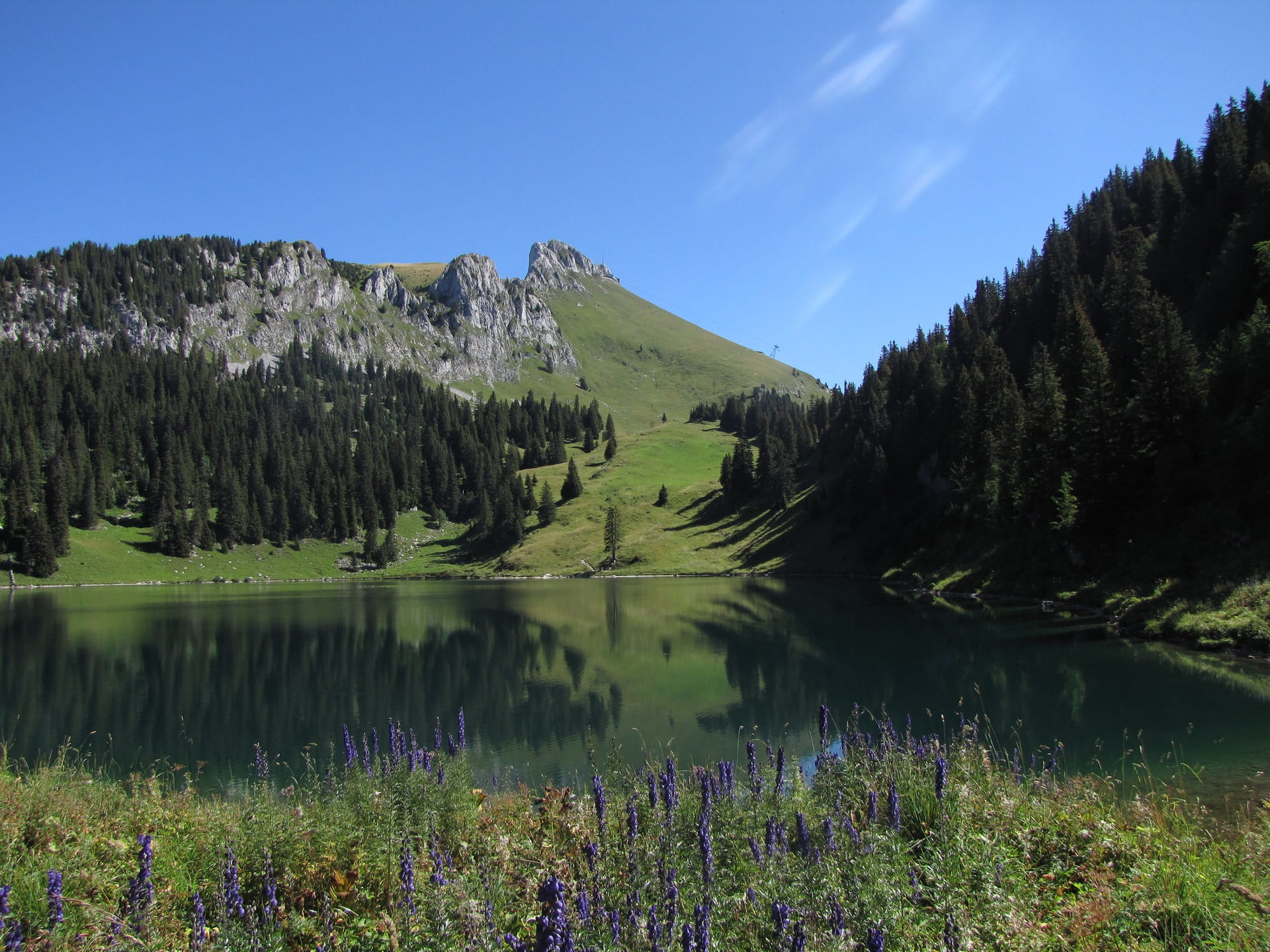Der Pfad führt Sie von der Mittelstation Chrindi entlang gepflegter Wanderwege zur Oberstockenalp, zum Oberstockensee und zurück über die Vorderstockenalp zum Ausgangspunkt Chrindi.