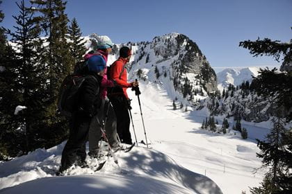 Schneeschuhwandern am Stockhorn