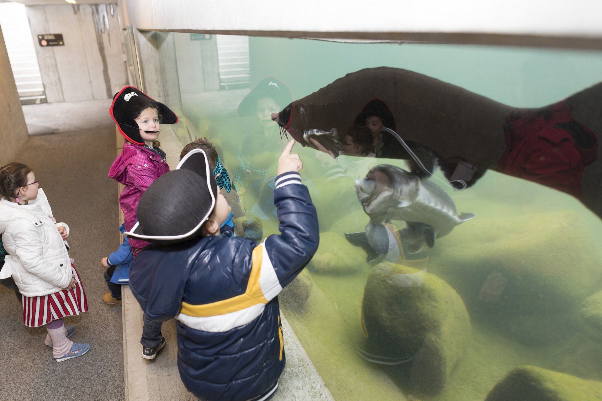 Kindergeburtstag im Tropenhaus Frutigen: Als Piraten und Prizessinnen verkleidete Kinder betrachten ein Aquarium mit Fischen.