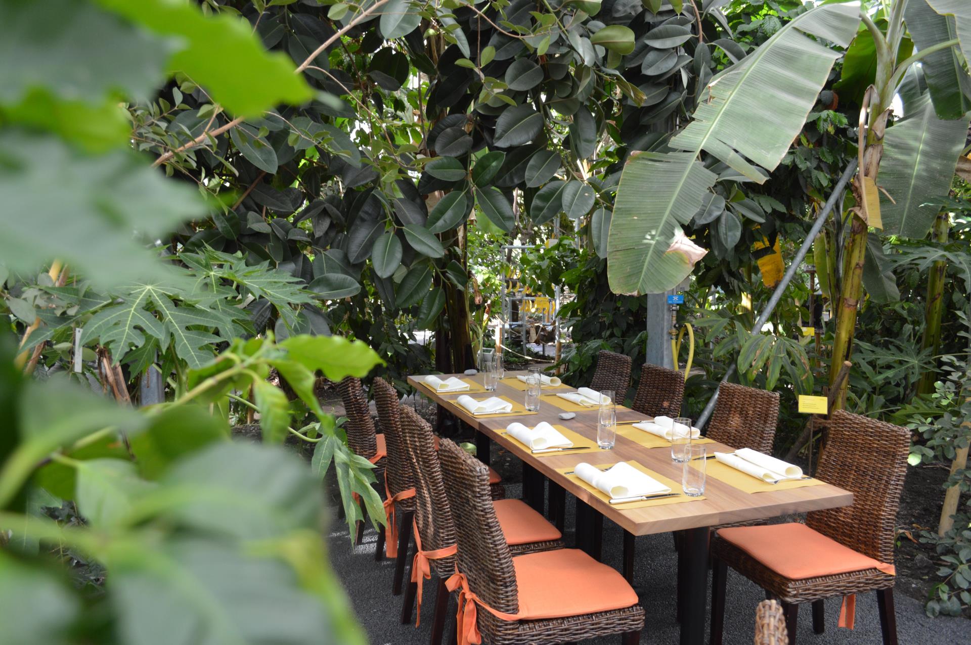 tropengarten restaurant at frutigen tropical house excursions