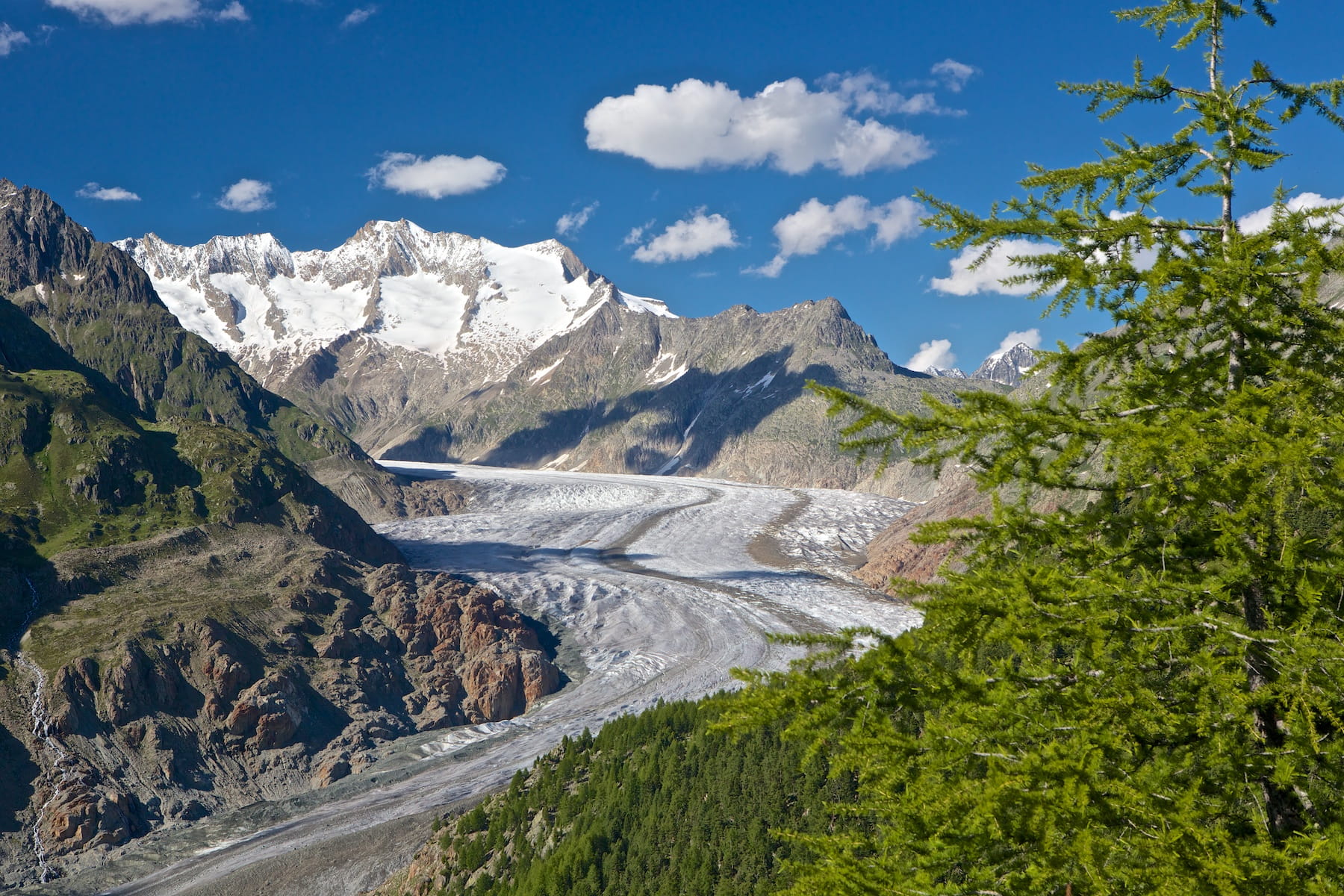 Blick auf den Aletschgletscher