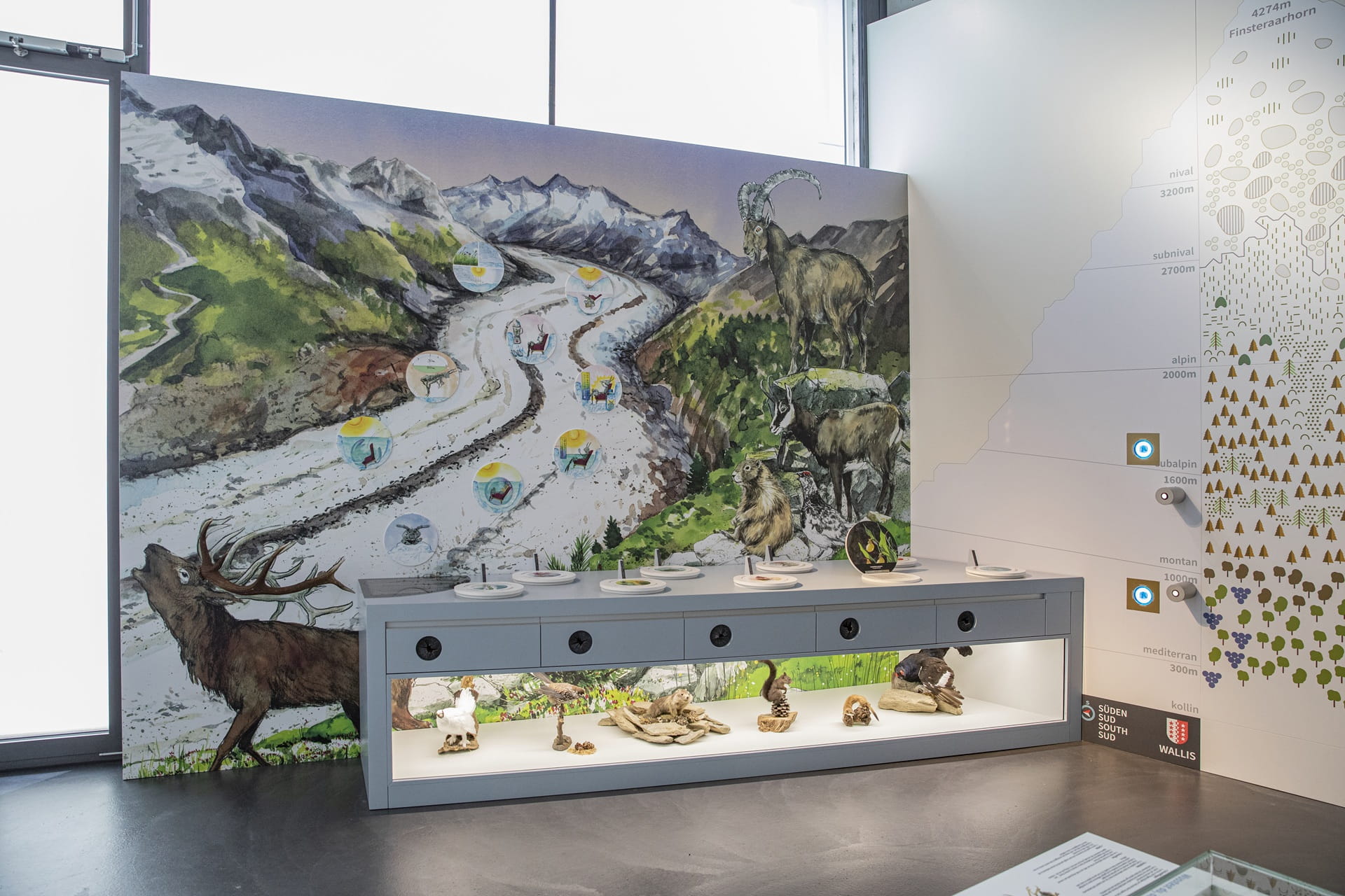 World Nature Forum Flora Fauna