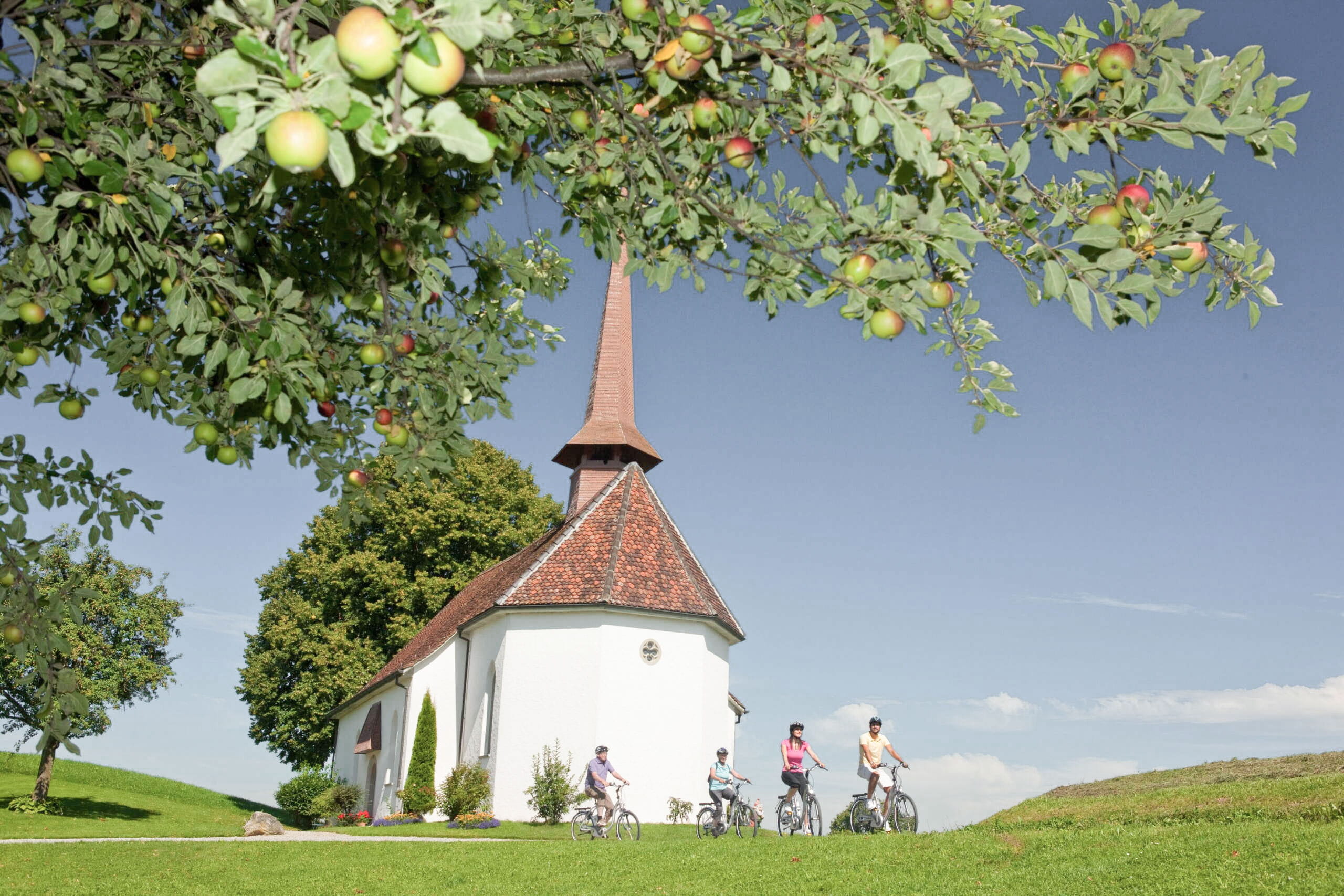 Bike Touren ab Willisau