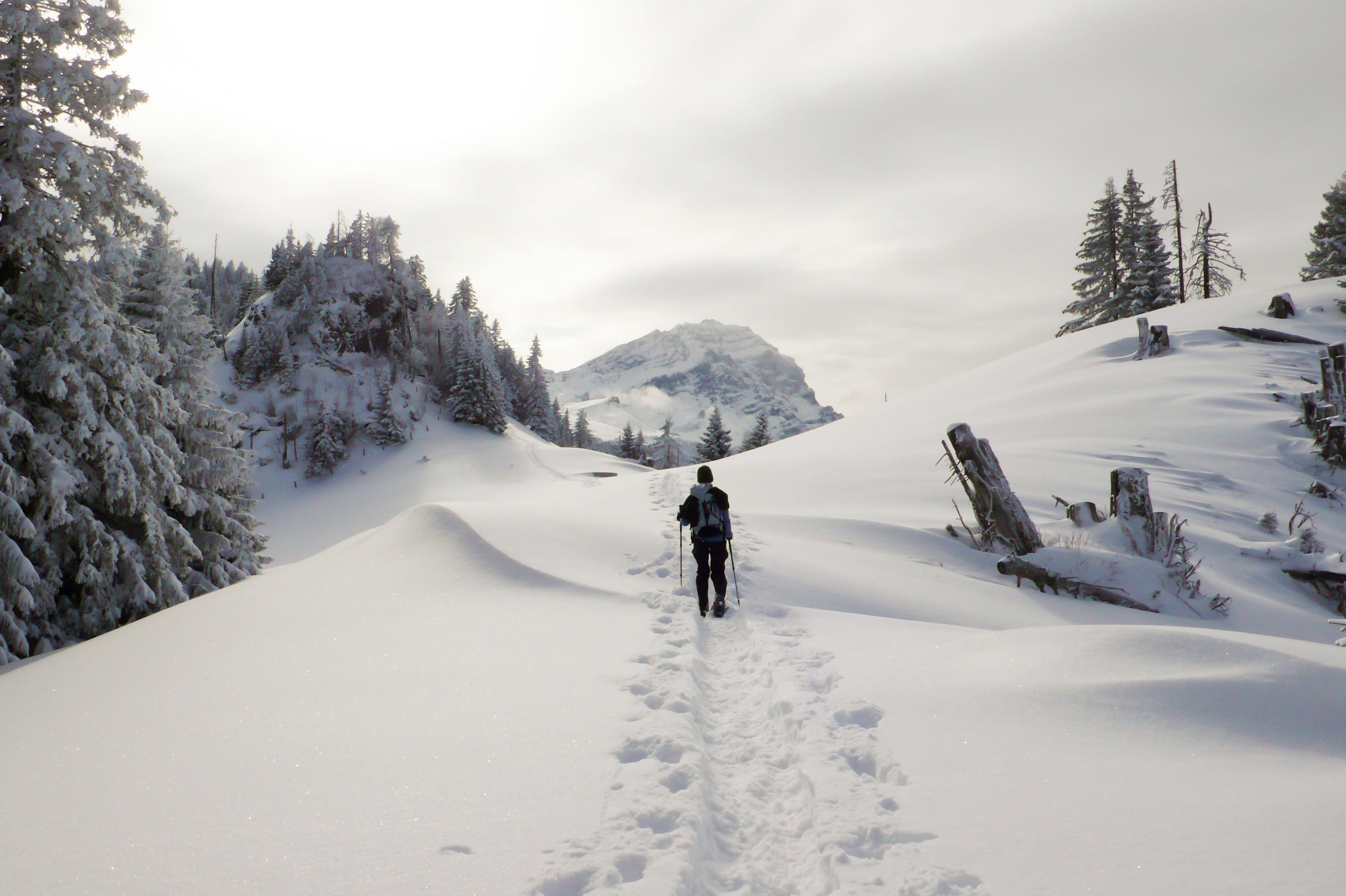 Winterwandern