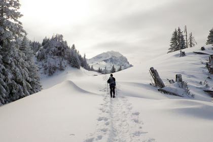 Winterwandern