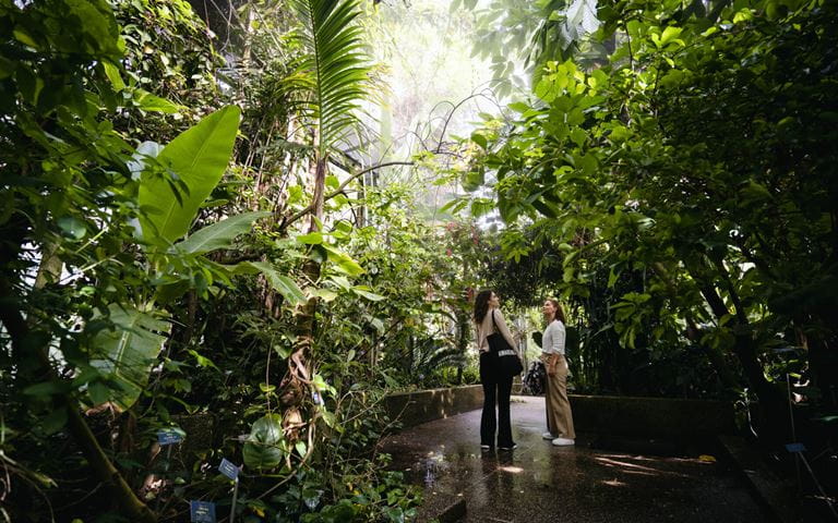 Botanischer Garten Bern