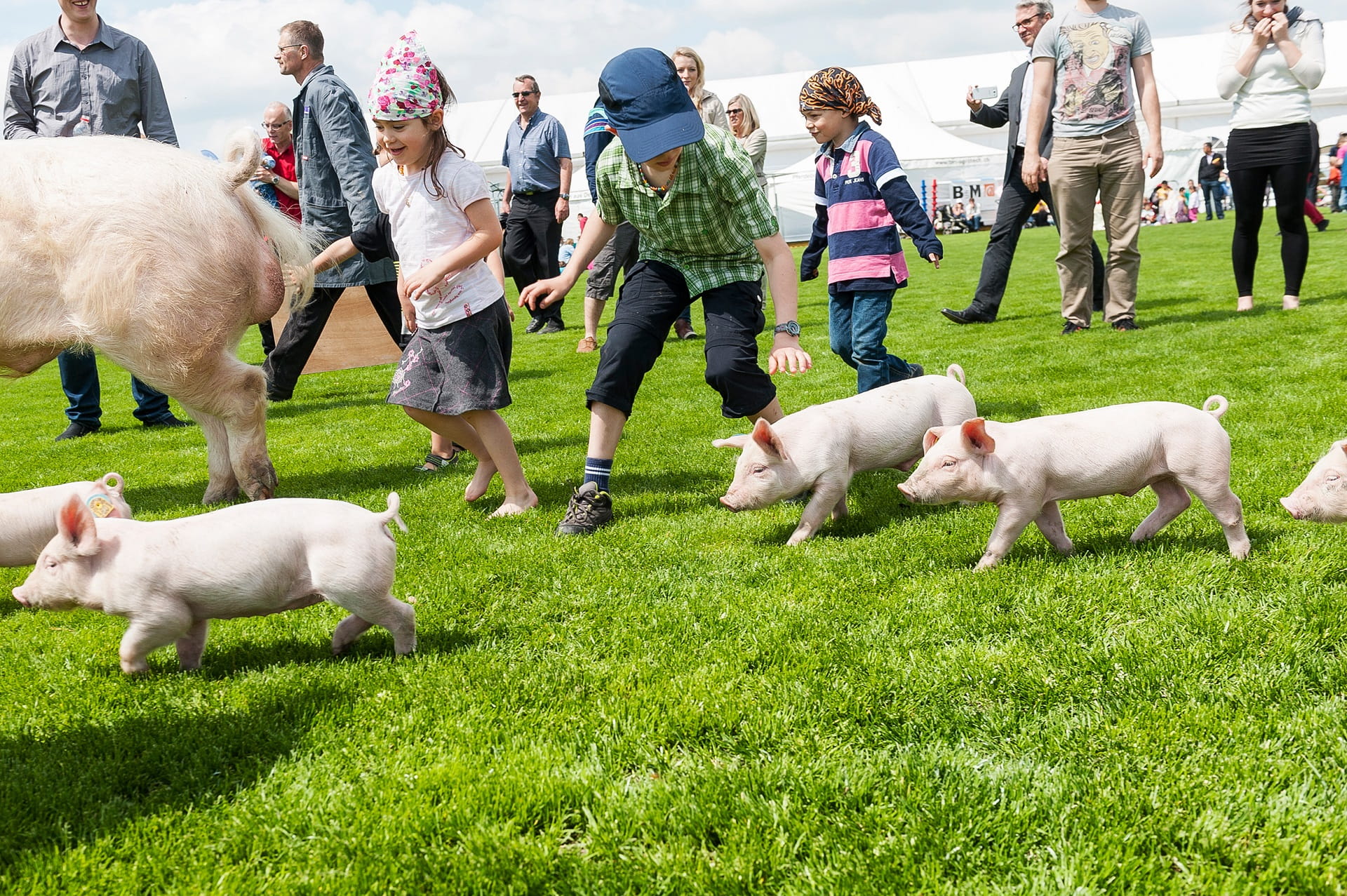 Das BERNEXPO-Gelände wird zum grössten Shoppingparadies der Schweiz: tierisch viel von allem.