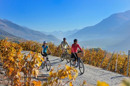 Eurotrek Rhone Route Velofahrer in Weinberg Lavaux