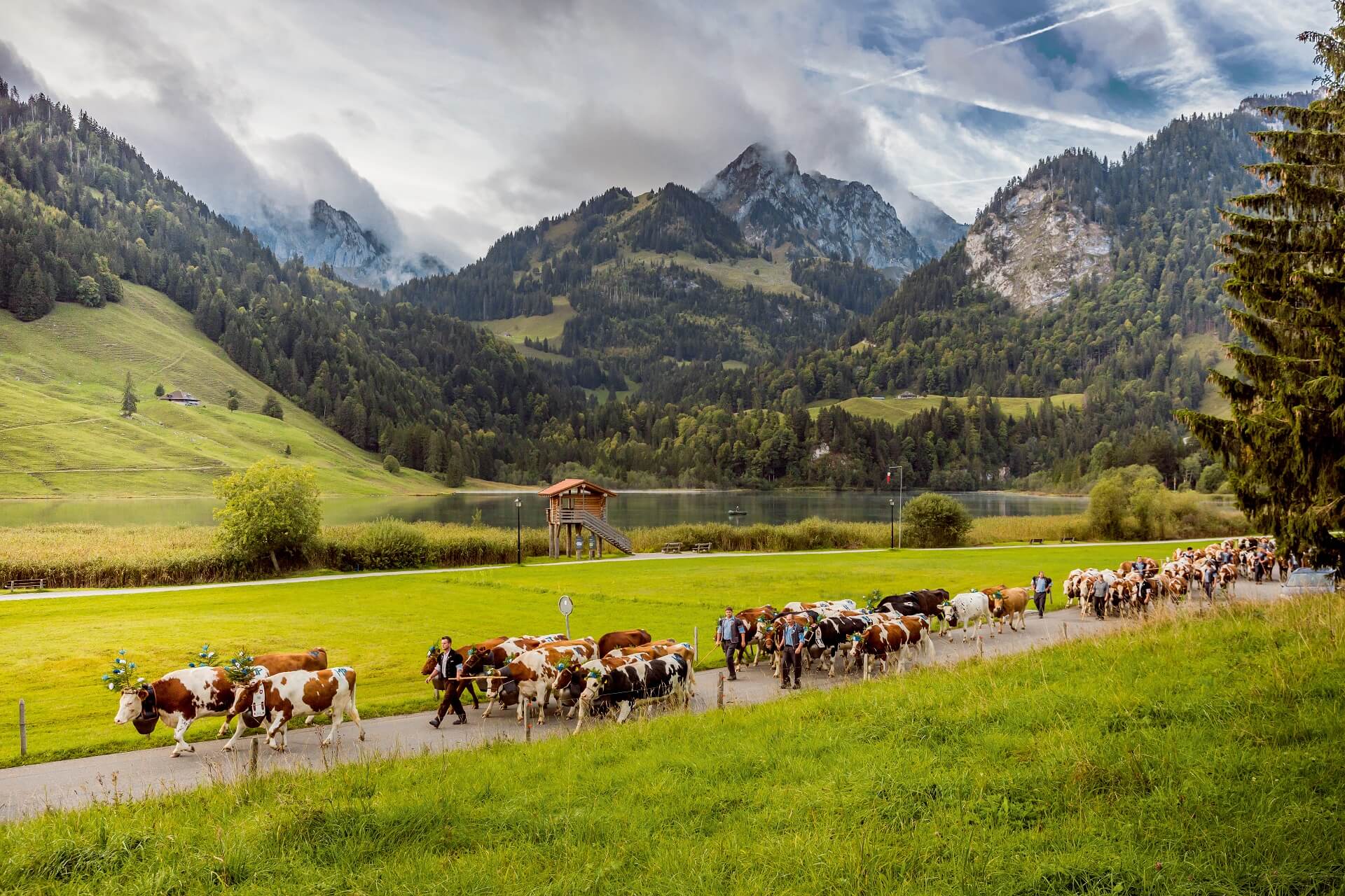 Eurotrek Wandern drei Paerke Alpabzug Schwarzsee