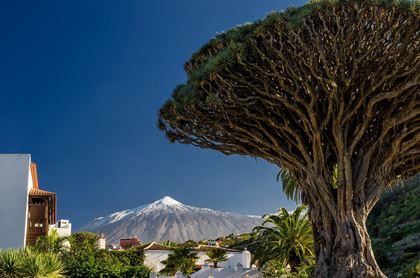 Eurotrek Wandern Teneriffa Palme mit Teide