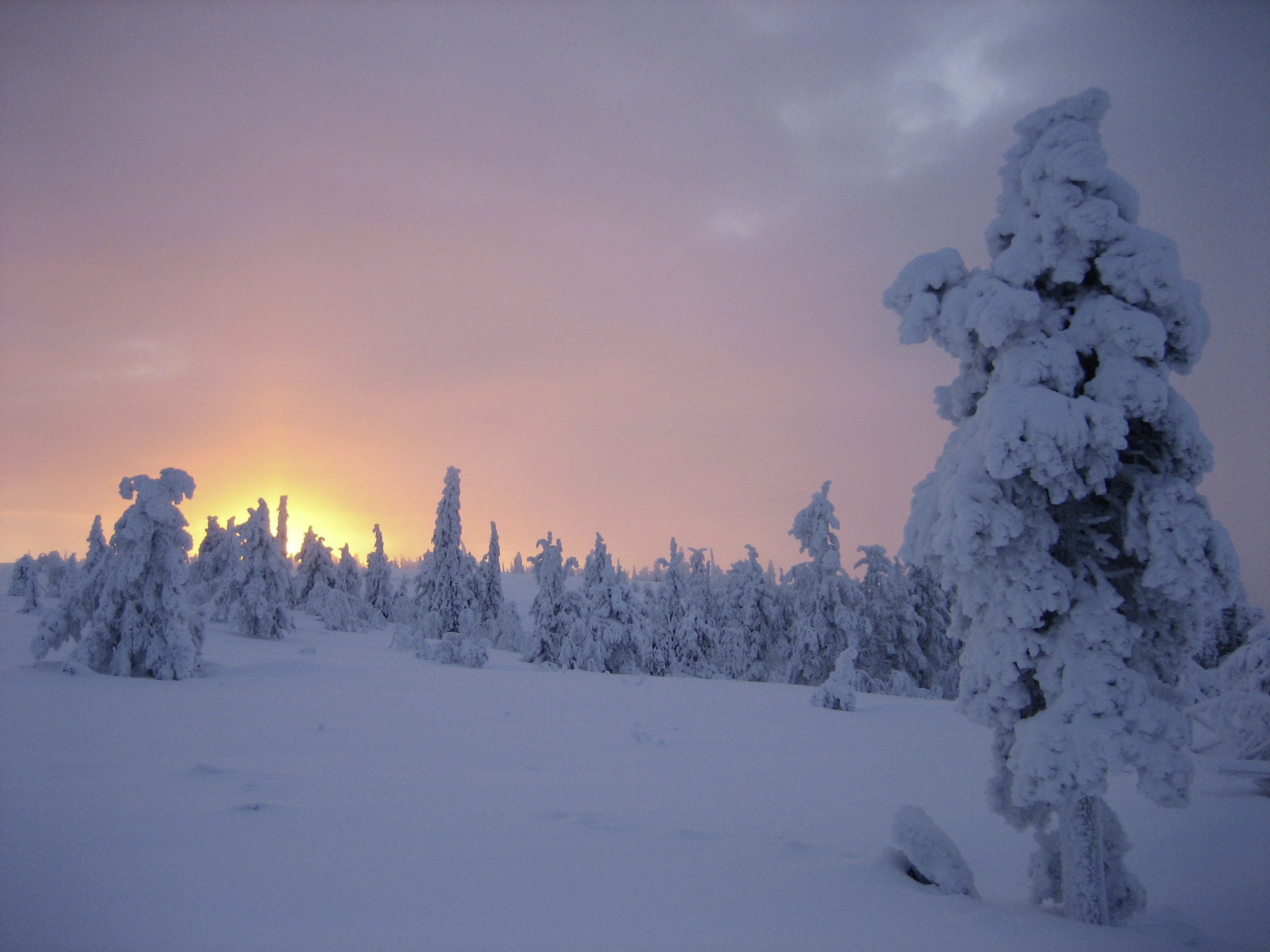 Lappland Sonnenuntergang