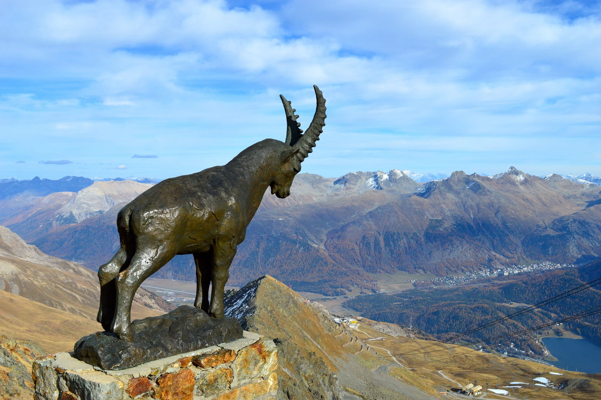 Steinbock Piz Nair Herbst_AdobeStock_180461451