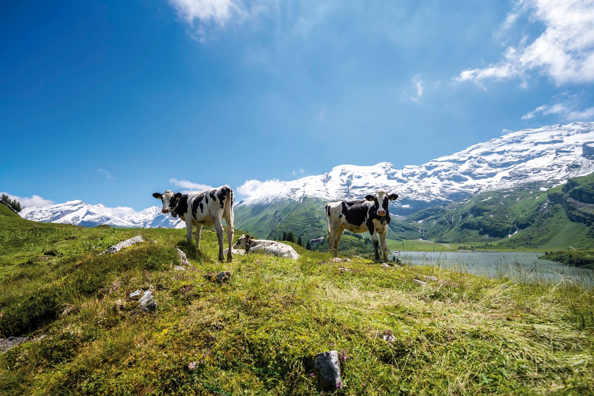 Engelberg Trbsee Khe Bildrecht Hopla