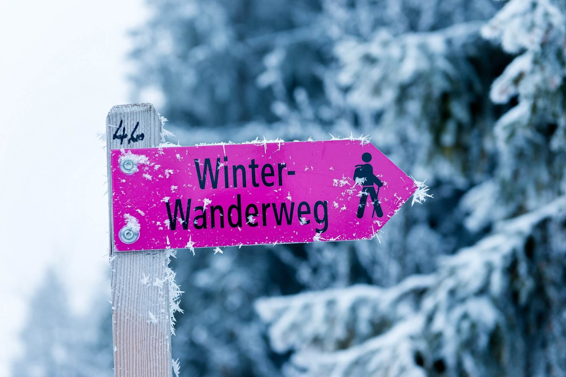 Schwarzsee Winterwanderwegweiser AdobeStock_242162252