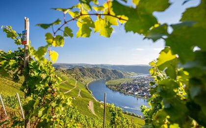 Deutschland Mosel Panorama