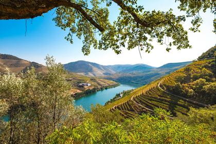 Portugal Douro mit Weinbergen