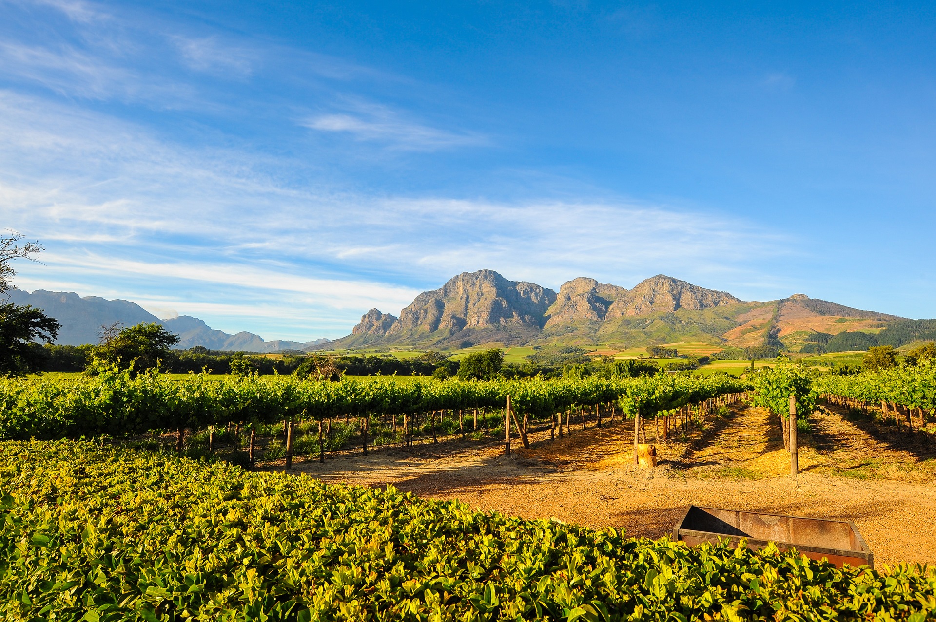 Südafrika Weinregion