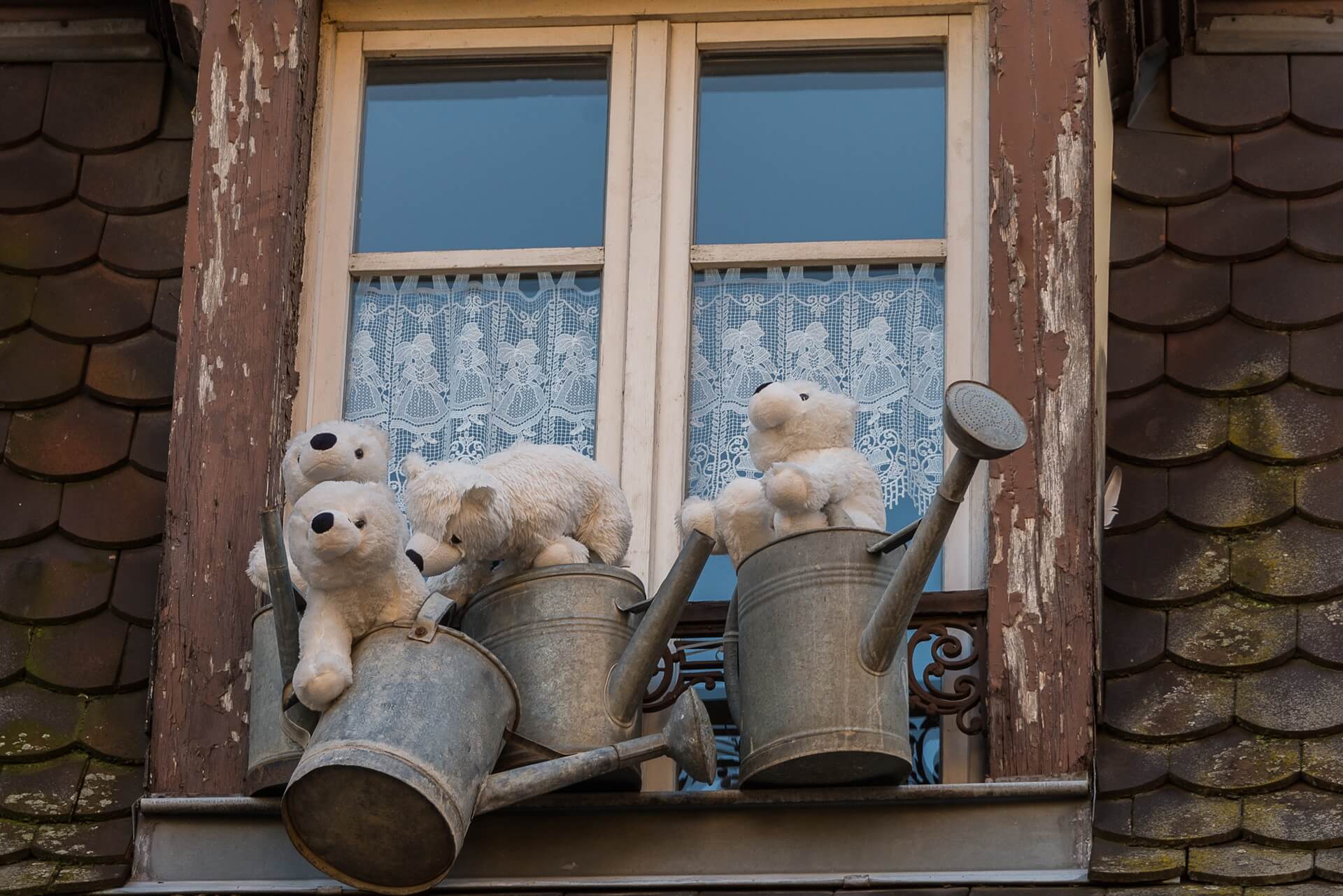Colmar Fensterdekoration