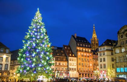 Strassburg Weihnachtsbaum