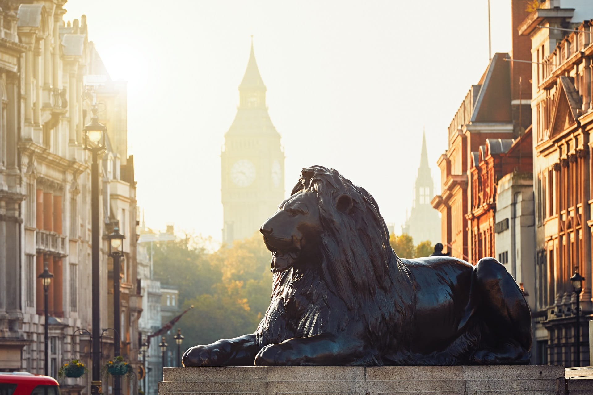 London Löwe am Trafalgar Square