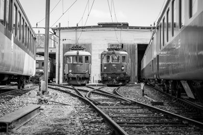 Les Amis du Depot