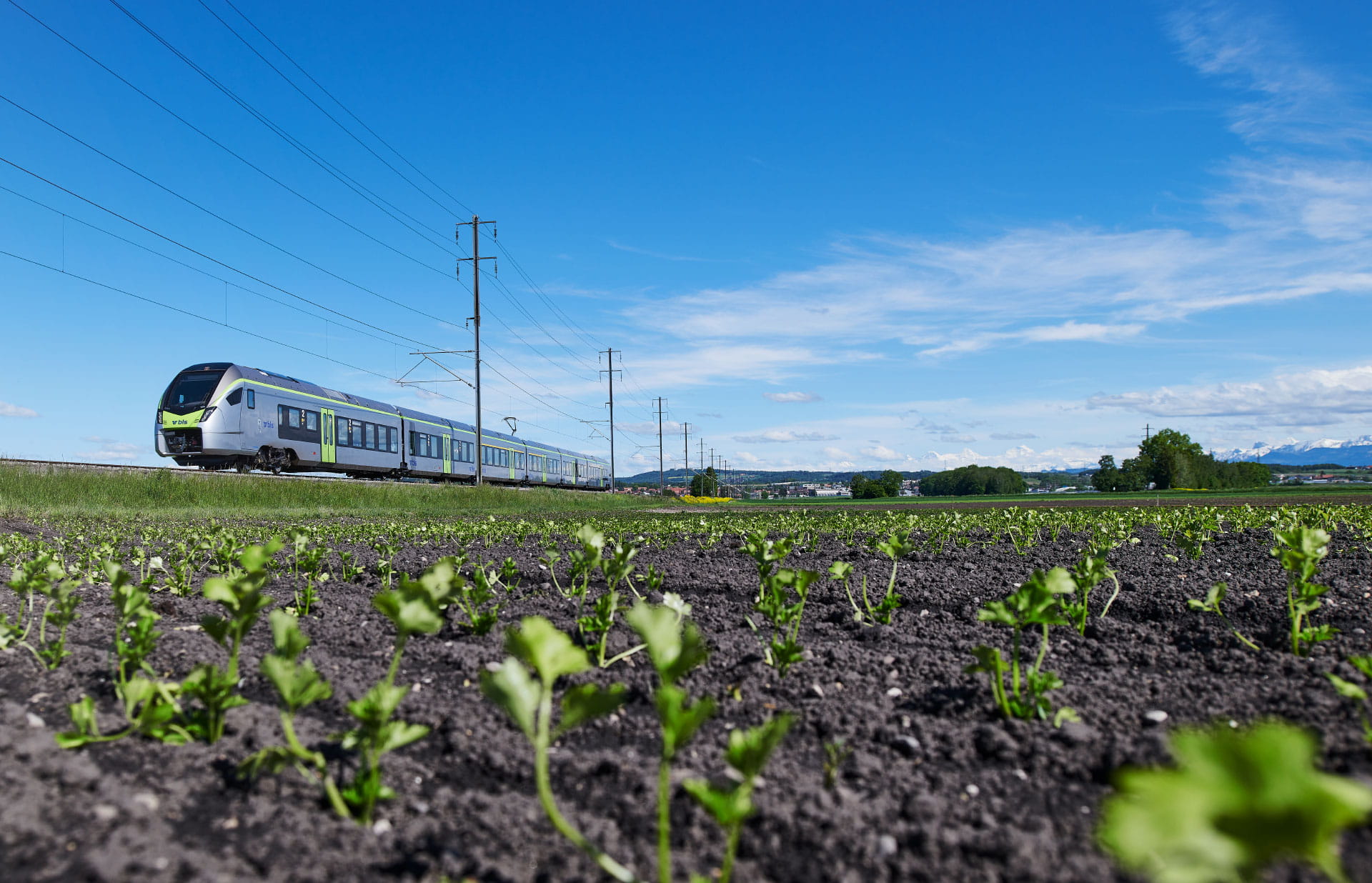 BLS MIKA Zug im Seeland