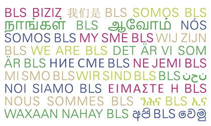 Flagge Diversität und Inklusion