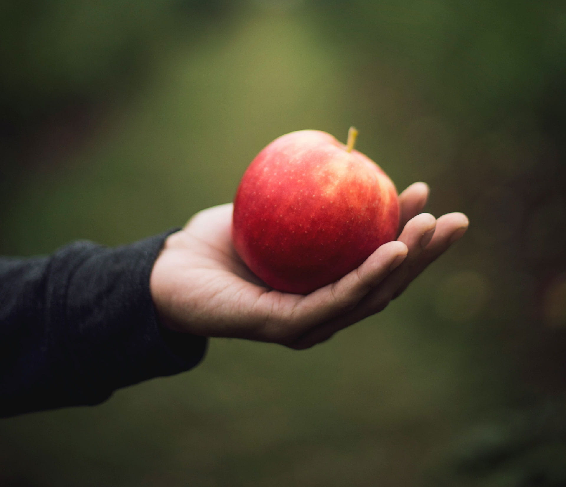 Nachhaltige Beschaffung