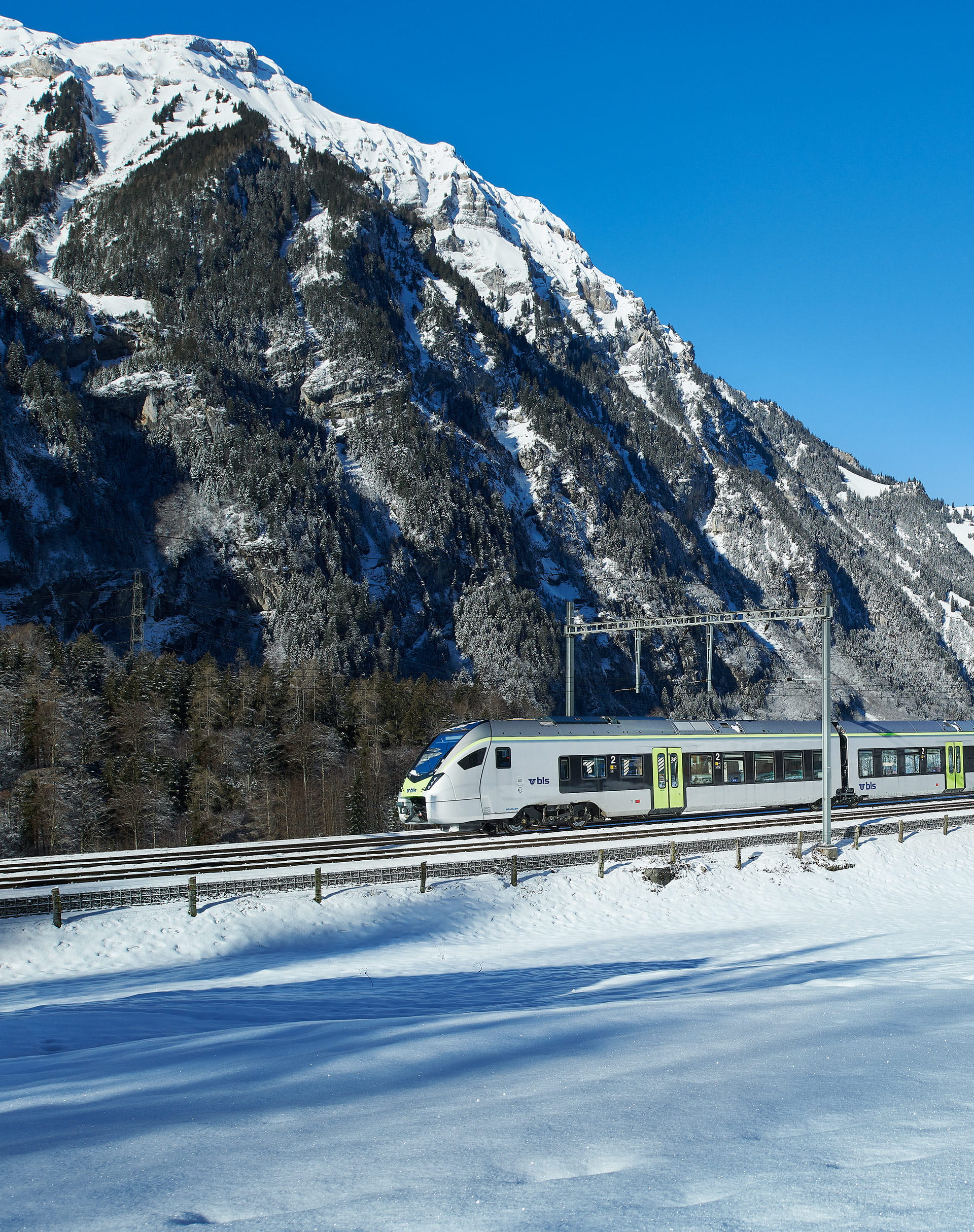 Mika im winterlichen Kandertal