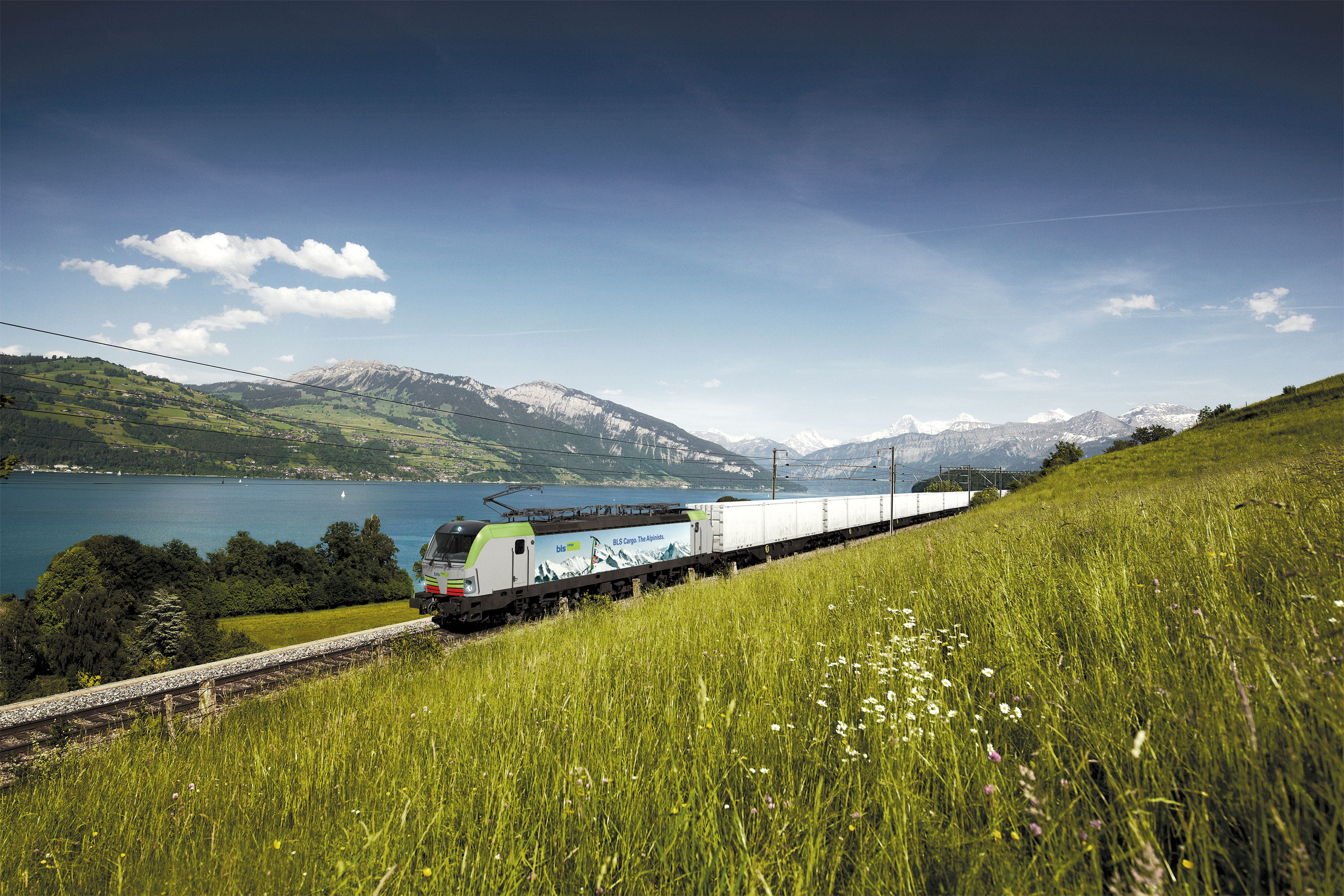 BLS Cargo Vectron Lokomotive bei Einigen am Thunersee