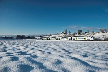 BLS MUTZ Winter
