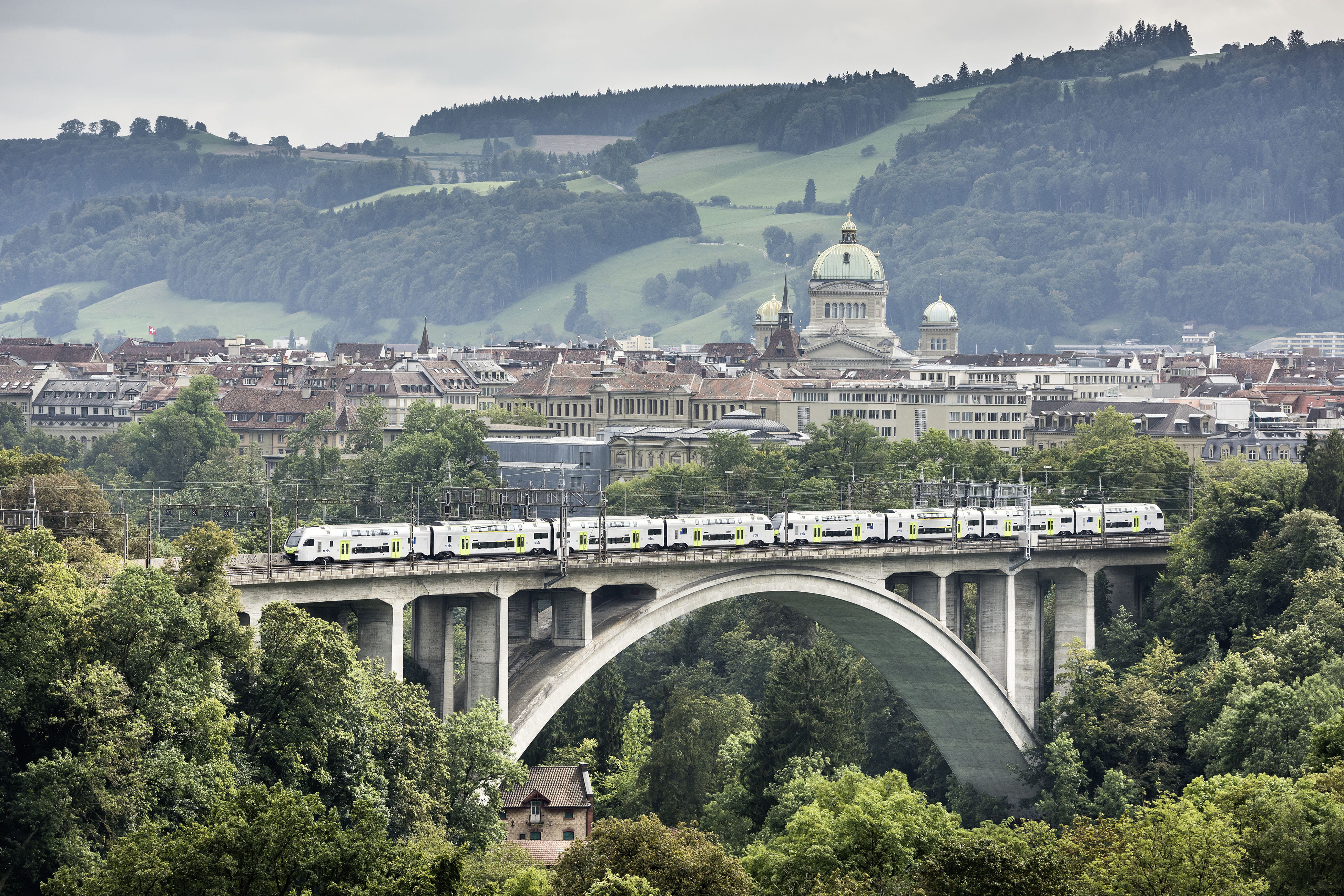 Mutz auf Lorrainebrücke Bern