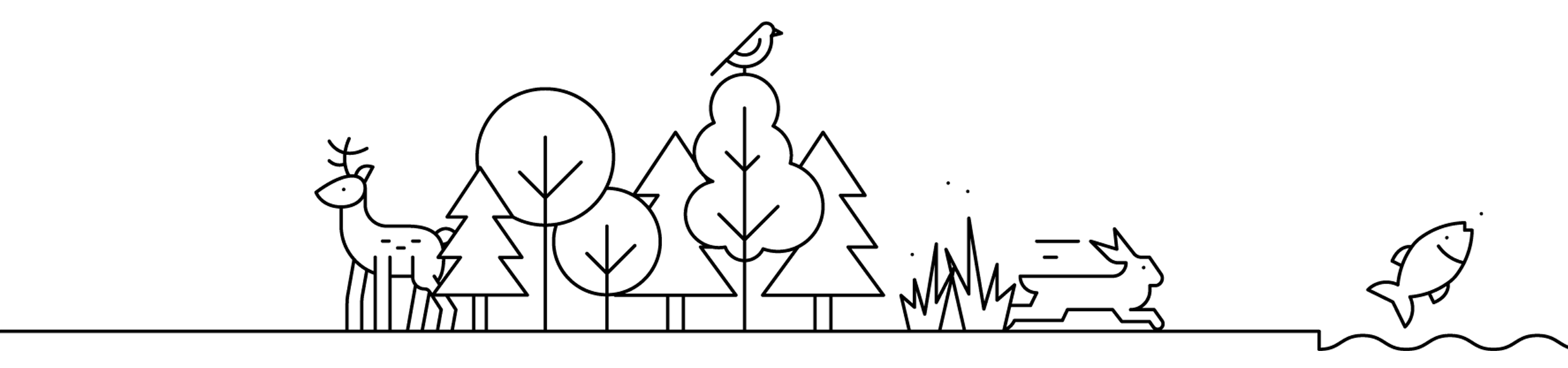 Symbolbild Biologische Vielfalt und Oekosysteme