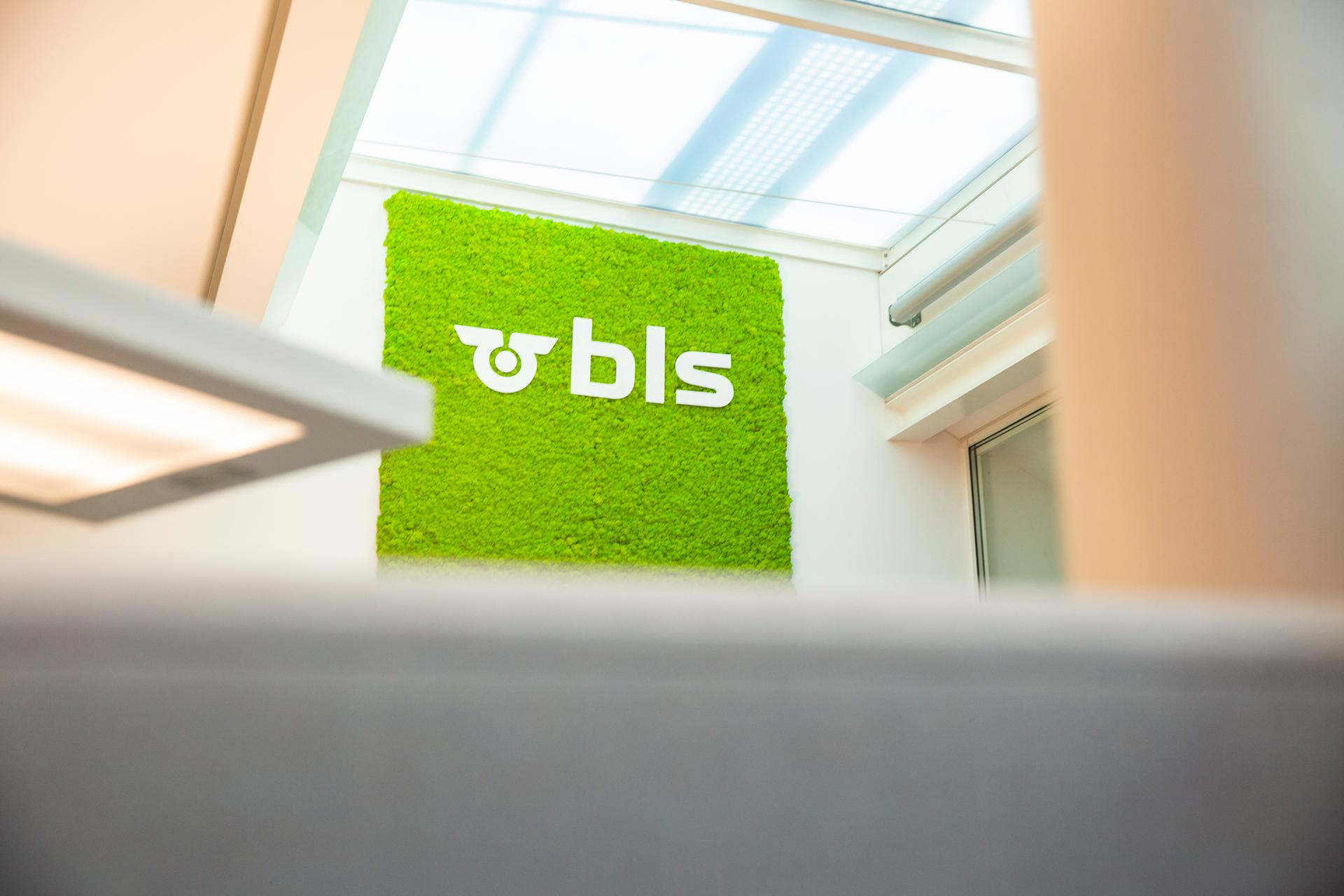 Wer wir sind: Organisation